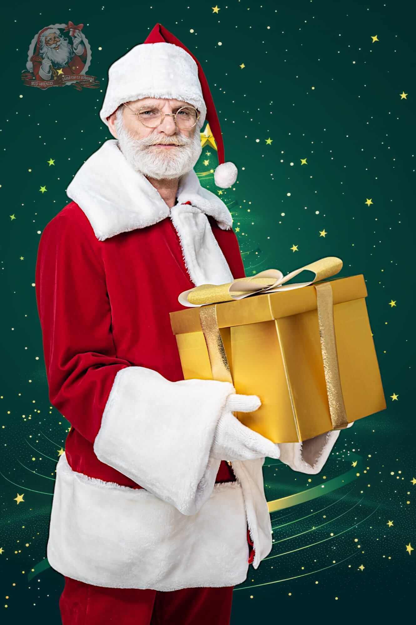 Stelian C - Gallery 1